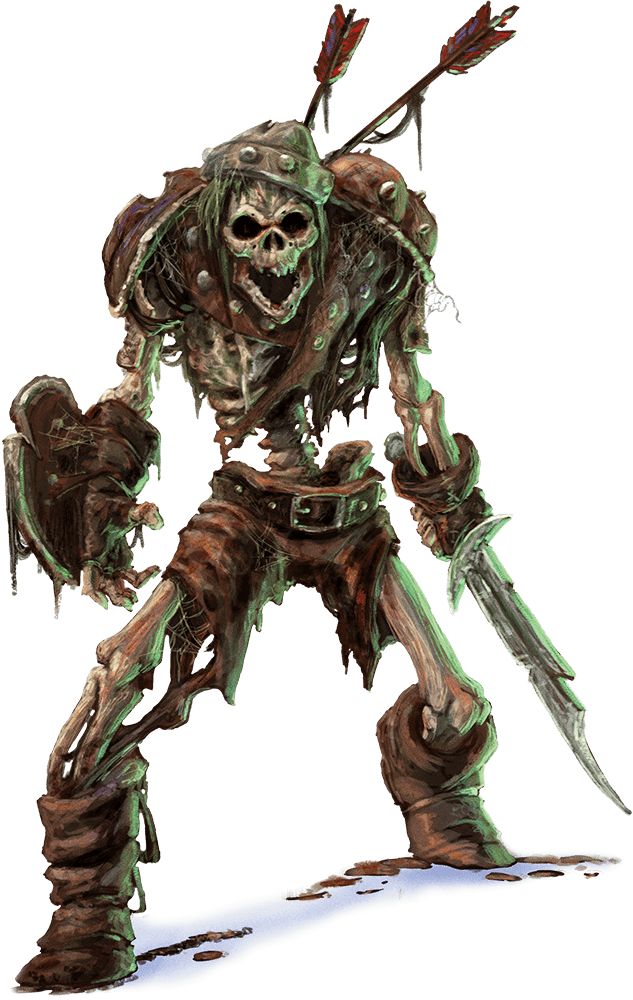 Skeleton